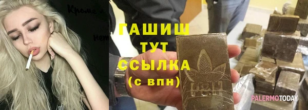 шишки Надым