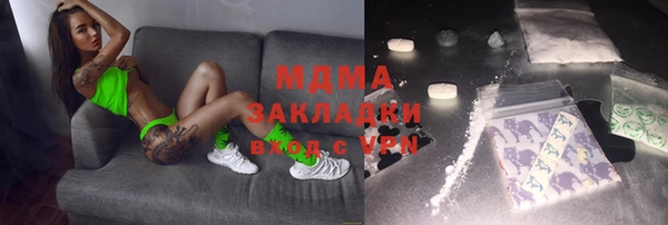 шишки Надым
