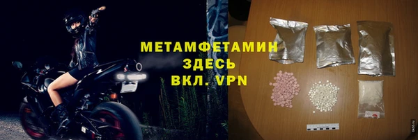 шишки Надым
