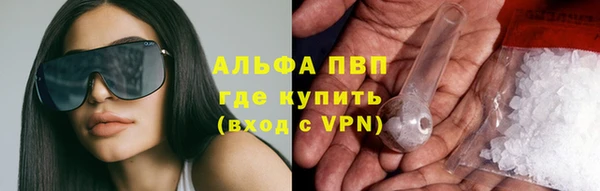 шишки Надым