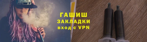 шишки Надым