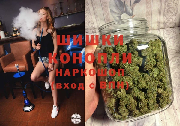 индика Нефтегорск