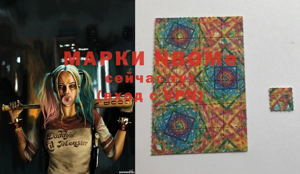 шишки Надым