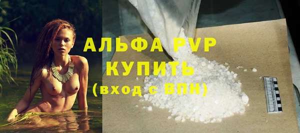 шишки Надым