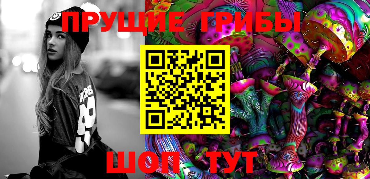 Галлюциногенные грибы Psilocybe  Вход с VPN  Ипатово 